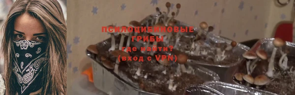 mix Арсеньев