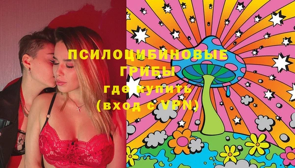 спиды Аркадак